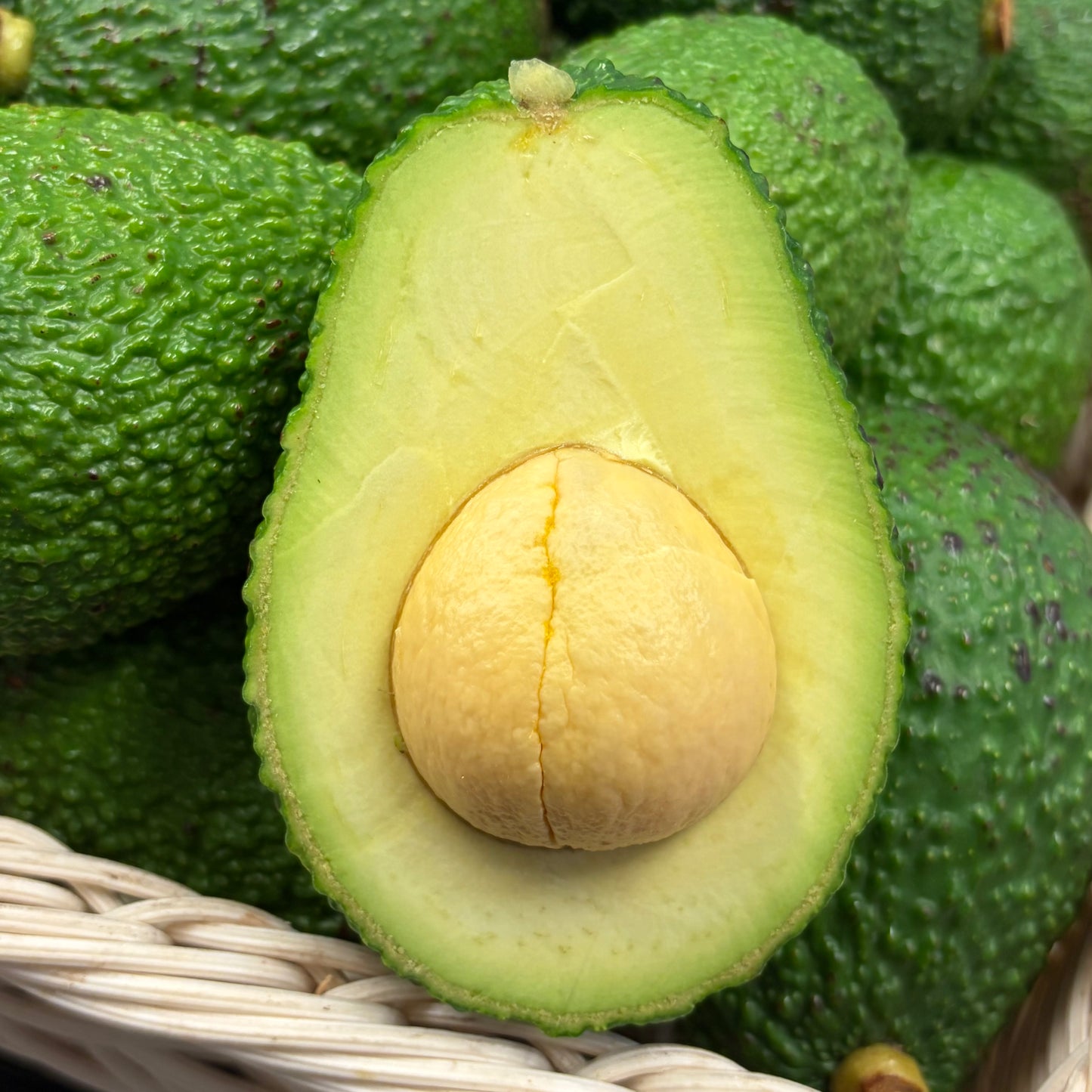 Avocat Corse (BIO)