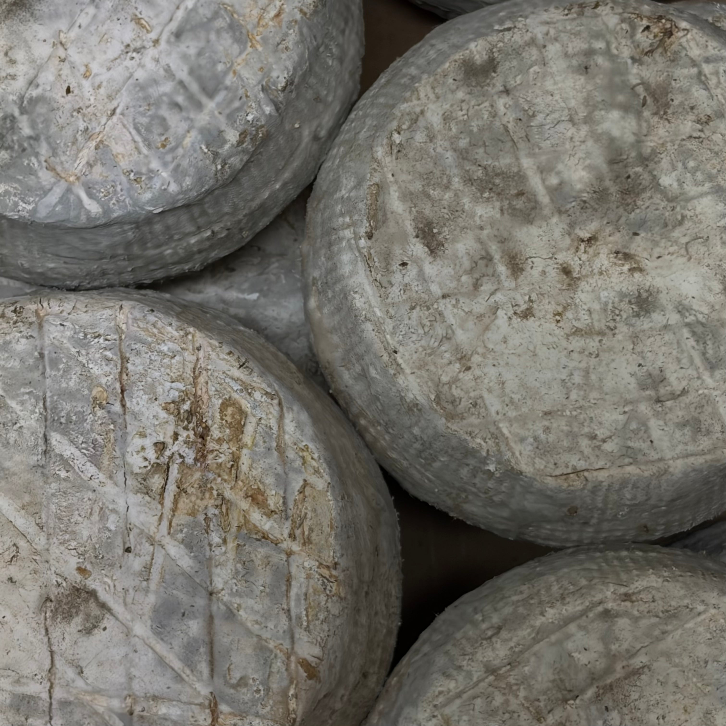 Fromage Fermier - Au Lait Cru de Brebis
