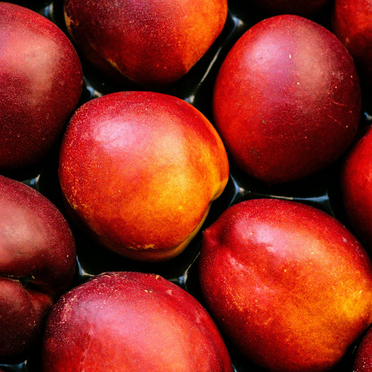 Nectarines Jaunes Corses - Fin mai